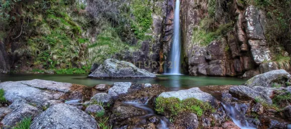 5 bedrooms House in Vieira do Minho, Portugal No. 42961 14