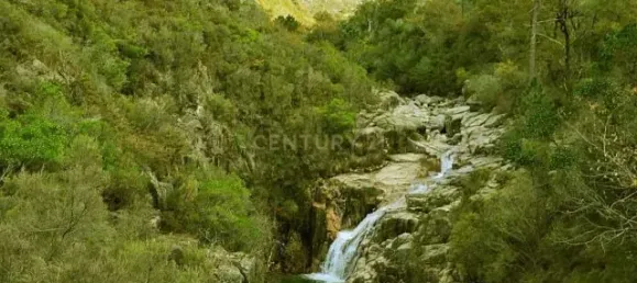 5 bedrooms House in Vieira do Minho, Portugal No. 42961 26