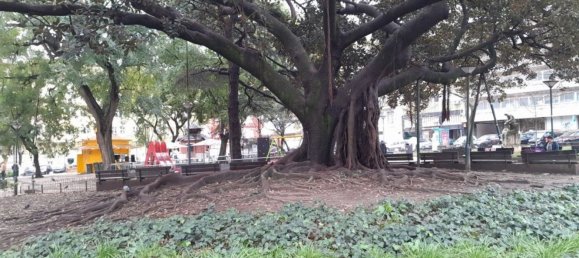 Studio in Lisbon, Portugal No. 154009 35