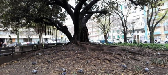 Studio in Lisbon, Portugal No. 154009 8