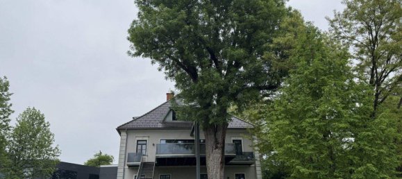 12غرفة فيلا في Hausmannstatten, Austria رقم 131247 7