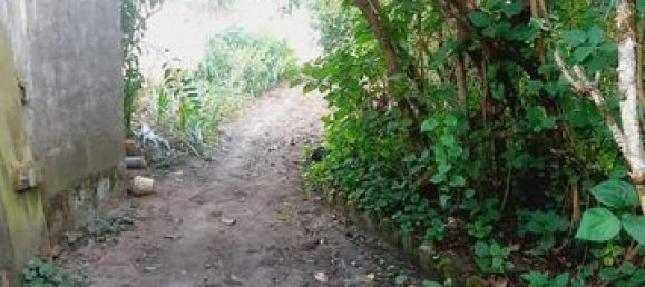 4 Schlafzimmer Haus in La Riche, France, Nr. 262460 2