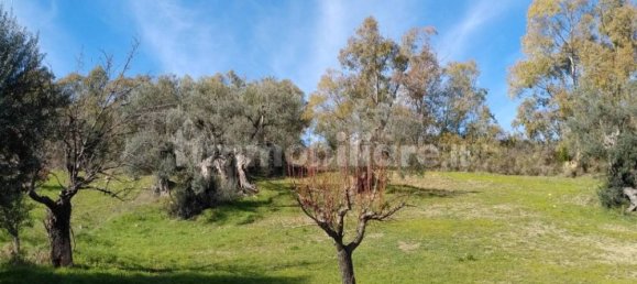 3 غرف نوم منزل في Nova Siri, Italy رقم 42470 4