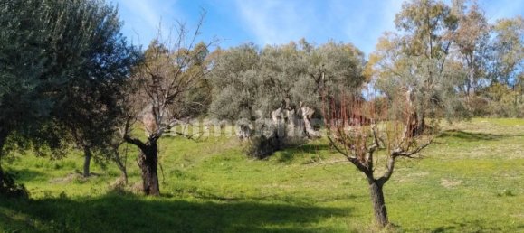 3 غرف نوم منزل في Nova Siri, Italy رقم 42470 16