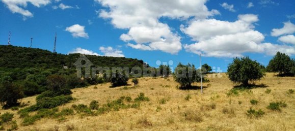 3 غرف نوم منزل في Nova Siri, Italy رقم 42470 67