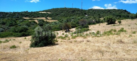 3 غرف نوم منزل في Nova Siri, Italy رقم 42470 41