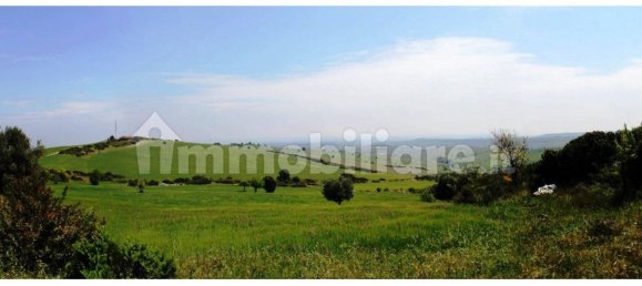 3 غرف نوم منزل في Nova Siri, Italy رقم 42470 24