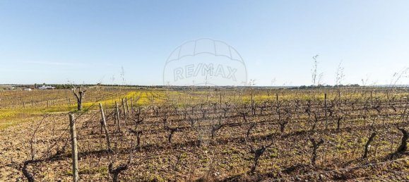 14890m² Land in Reguengos de Monsaraz, Portugal No. 108914 13