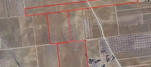 14890m² Land in Reguengos de Monsaraz, Portugal No. 108914 20