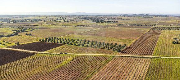 14890m² Land in Reguengos de Monsaraz, Portugal No. 108914 48