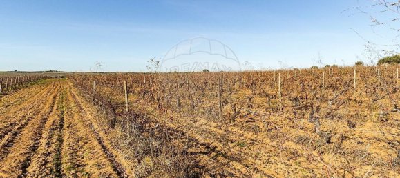 14890m² Land in Reguengos de Monsaraz, Portugal No. 108914 44