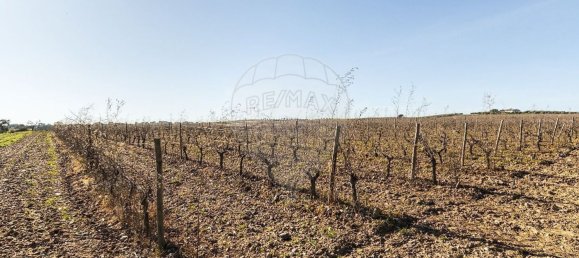 14890m² Land in Reguengos de Monsaraz, Portugal No. 108914 11