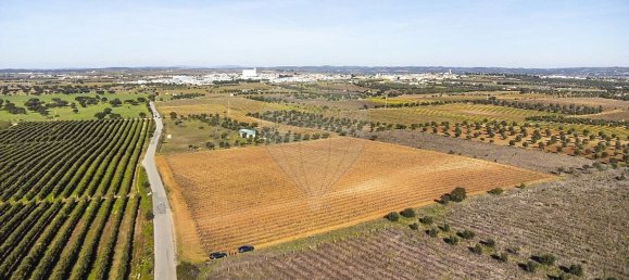 14890m² Land in Reguengos de Monsaraz, Portugal No. 108914 27