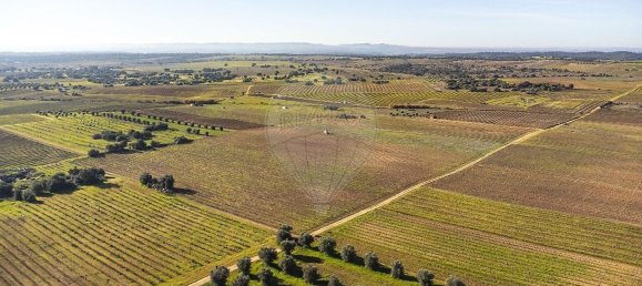 14890m² Land in Reguengos de Monsaraz, Portugal No. 108914 8