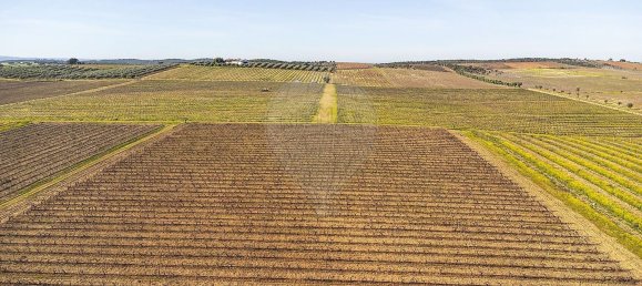 14890m² Land in Reguengos de Monsaraz, Portugal No. 108914 21