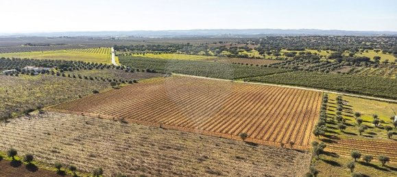 14890m² Land in Reguengos de Monsaraz, Portugal No. 108914 29