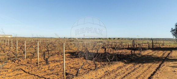 14890m² Land in Reguengos de Monsaraz, Portugal No. 108914 38