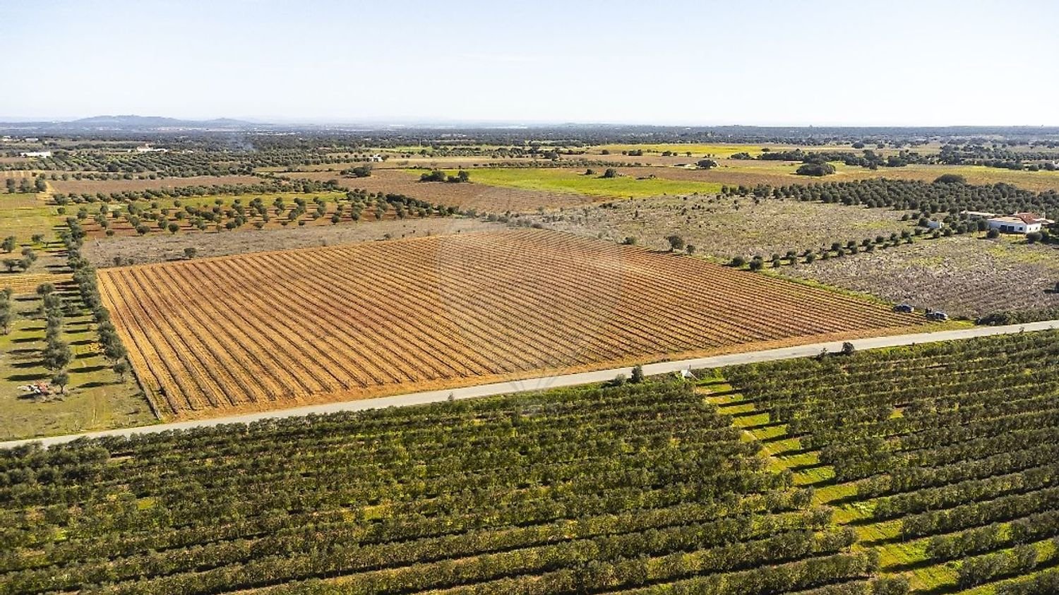 14890m² Land in Reguengos de Monsaraz, Portugal No. 108914