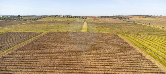 14890m² Land in Reguengos de Monsaraz, Portugal No. 108914 17