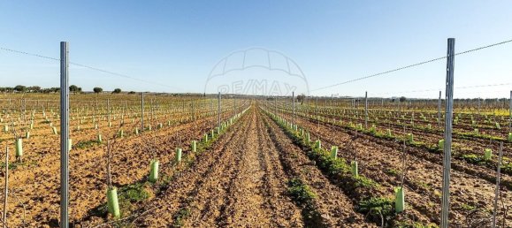 14890m² Land in Reguengos de Monsaraz, Portugal No. 108914 36