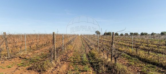 14890m² Land in Reguengos de Monsaraz, Portugal No. 108914 30