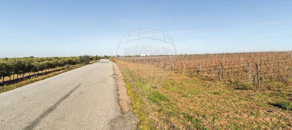 14890m² Land in Reguengos de Monsaraz, Portugal No. 108914 32