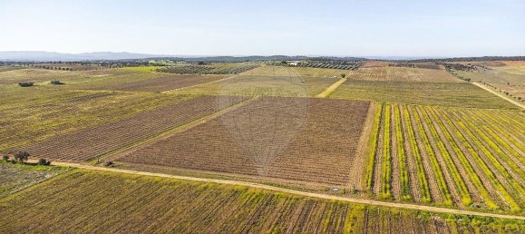 14890m² Land in Reguengos de Monsaraz, Portugal No. 108914 16