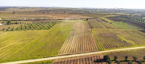 14890m² Land in Reguengos de Monsaraz, Portugal No. 108914 2