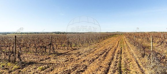 14890m² Land in Reguengos de Monsaraz, Portugal No. 108914 43
