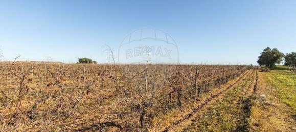 14890m² Land in Reguengos de Monsaraz, Portugal No. 108914 42