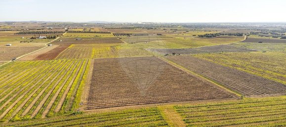 14890m² Land in Reguengos de Monsaraz, Portugal No. 108914 25