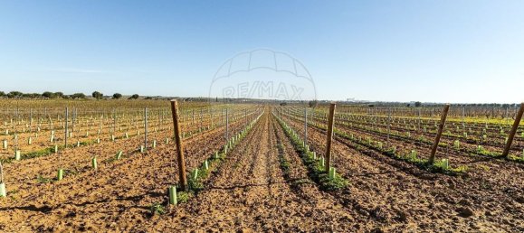 14890m² Land in Reguengos de Monsaraz, Portugal No. 108914 35