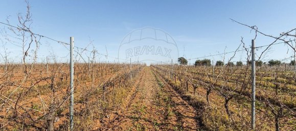 14890m² Land in Reguengos de Monsaraz, Portugal No. 108914 31