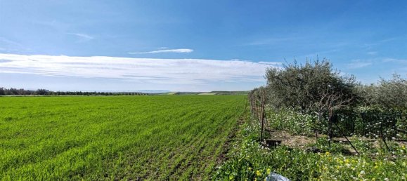 2 bedrooms Land in Ramacca, Italy No. 115264 12