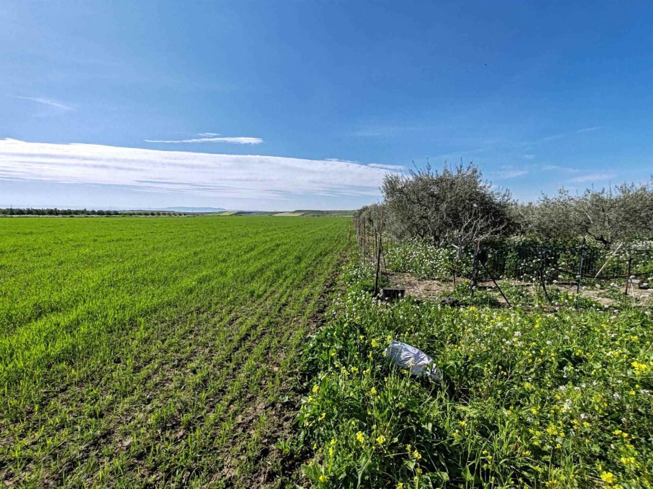 2 bedrooms Land in Ramacca, Italy No. 115264