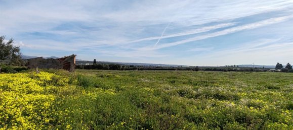 2 bedrooms Land in Ramacca, Italy No. 115264 4