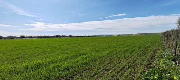 2 bedrooms Land in Ramacca, Italy No. 115264 11