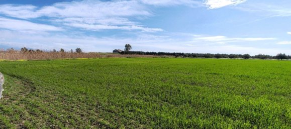 2 bedrooms Land in Ramacca, Italy No. 115264 10