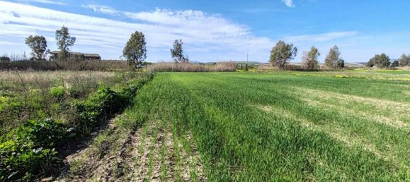 2 bedrooms Land in Ramacca, Italy No. 115264 7