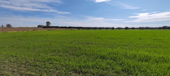 2 bedrooms Land in Ramacca, Italy No. 115264 13