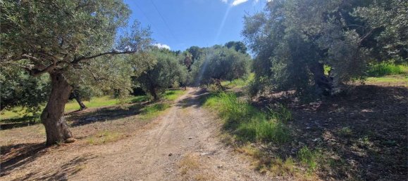  قطعة أرض في Termini Imerese, Italy رقم 372320 29