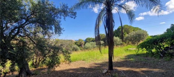  قطعة أرض في Termini Imerese, Italy رقم 372320 12