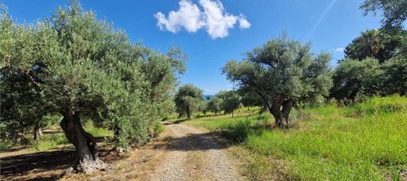  قطعة أرض في Termini Imerese, Italy رقم 372320 26