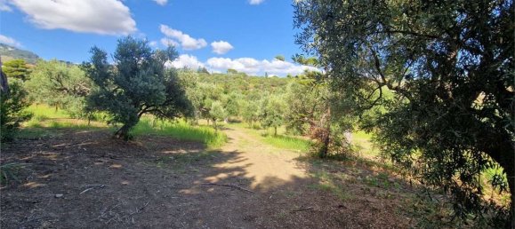  قطعة أرض في Termini Imerese, Italy رقم 372320 22