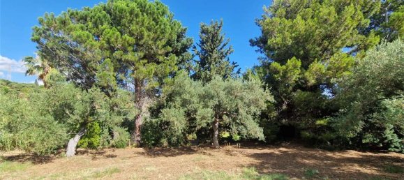  قطعة أرض في Termini Imerese, Italy رقم 372320 19