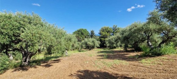  قطعة أرض في Termini Imerese, Italy رقم 372320 18