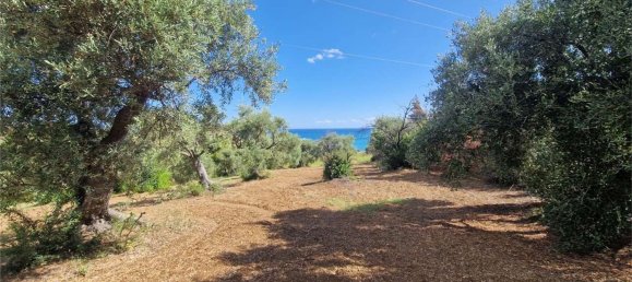  قطعة أرض في Termini Imerese, Italy رقم 372320 20