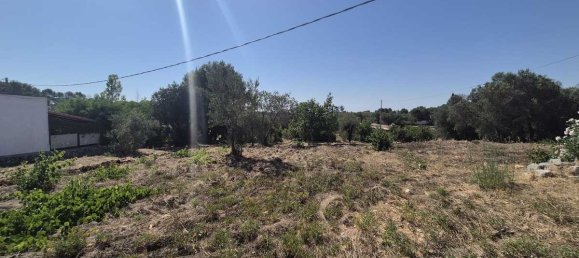 Земельный участок с 2 спальнями в Остуни, Италия № 291131 6