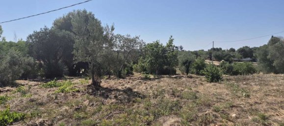 Земельный участок с 2 спальнями в Остуни, Италия № 291131 7