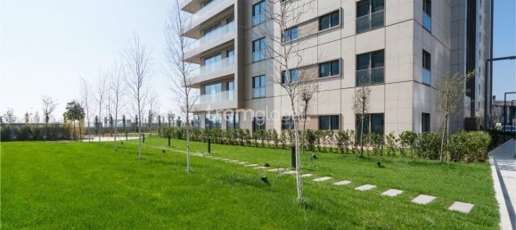 Estudio en Istanbul, Turkey No. 7571 6